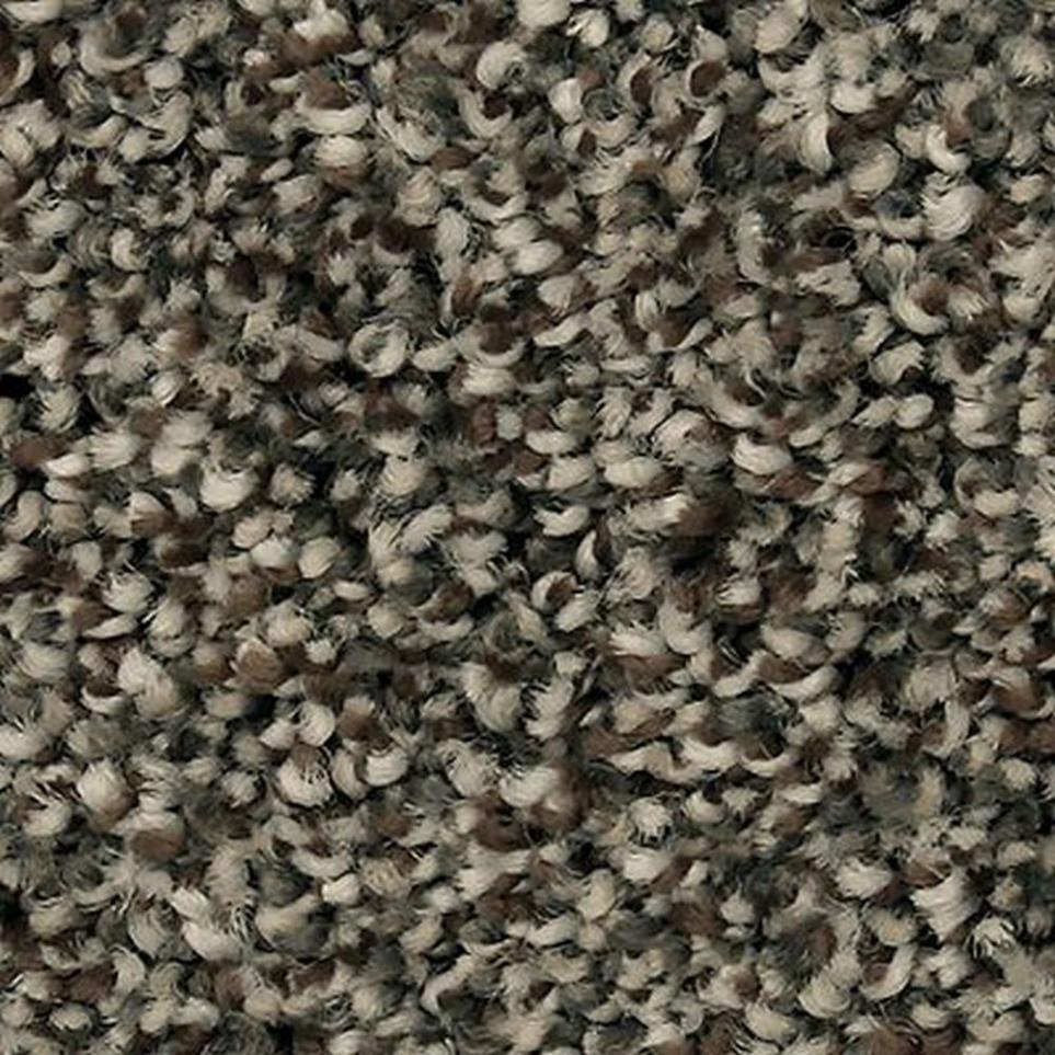 Textured Saxony UNIVERSAL UMBER Brown Carpet