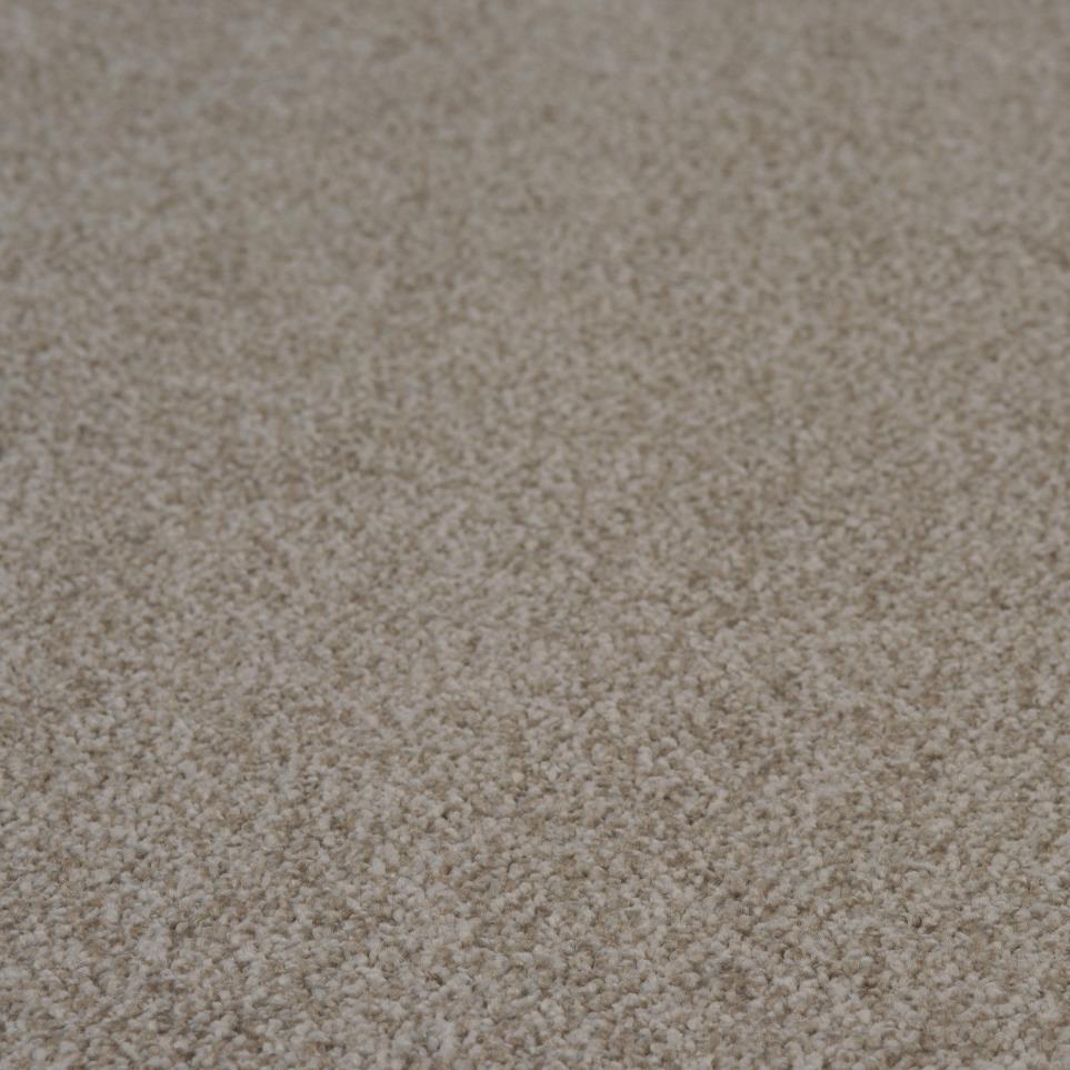 Textured Saxony Shoreline Gray Carpet