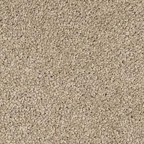 Textured Saxony Almond Brown Carpet