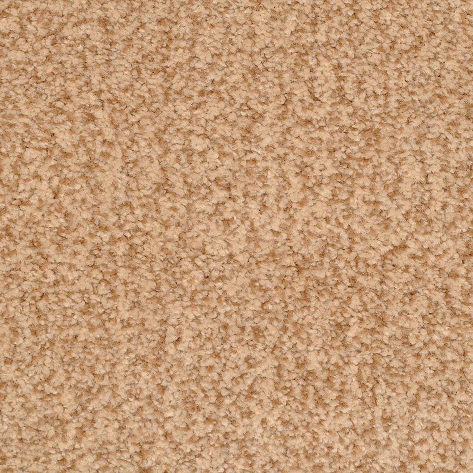Frieze Clydesdale Beige/Tan Carpet