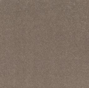 Textured Saxony Pinecone Gray Carpet