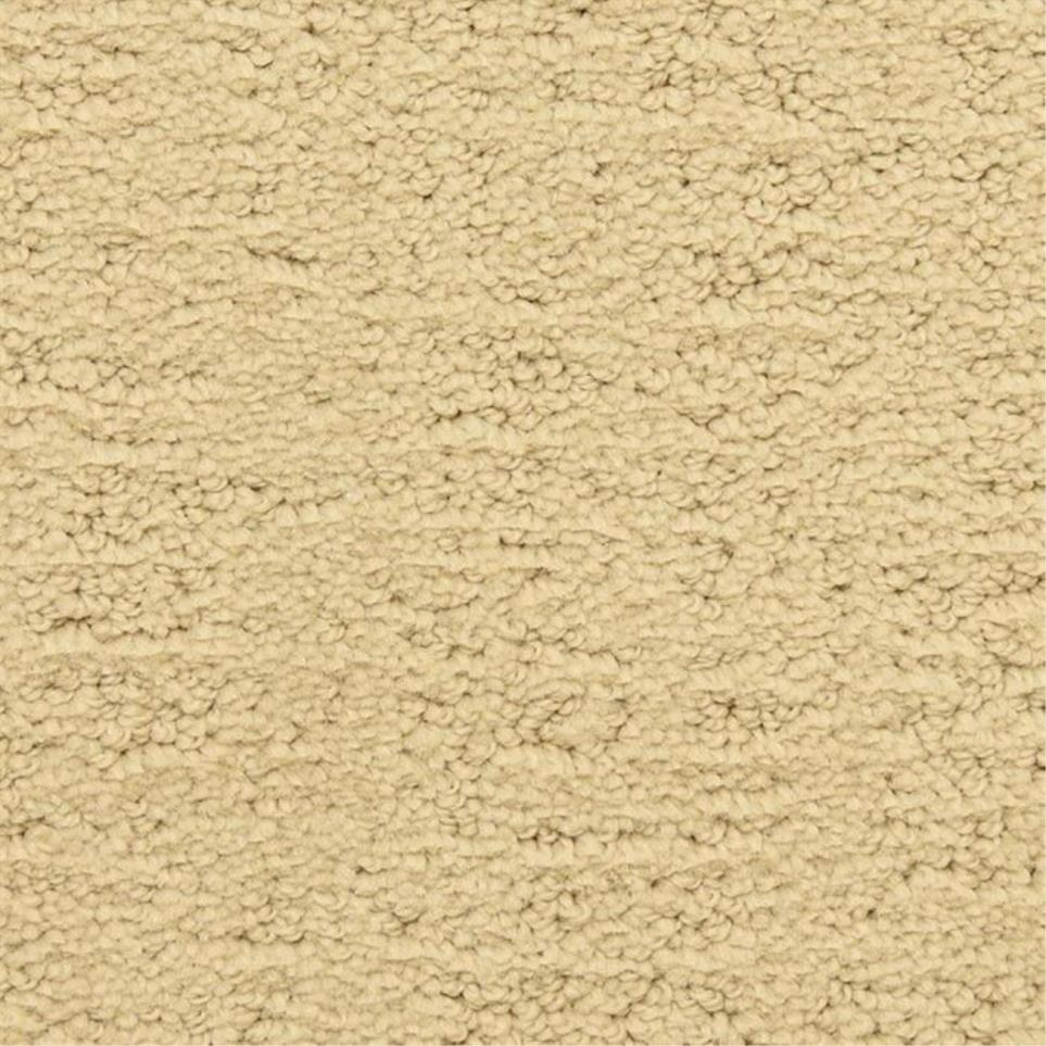 Pattern Mission Canyon Beige/Tan Carpet