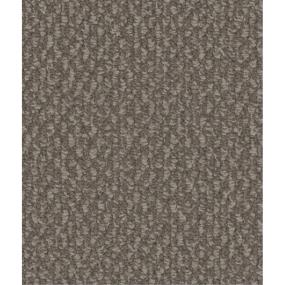 Loop Parade Gray Carpet