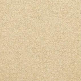 Casual Texture Leisure Beige/Tan Carpet