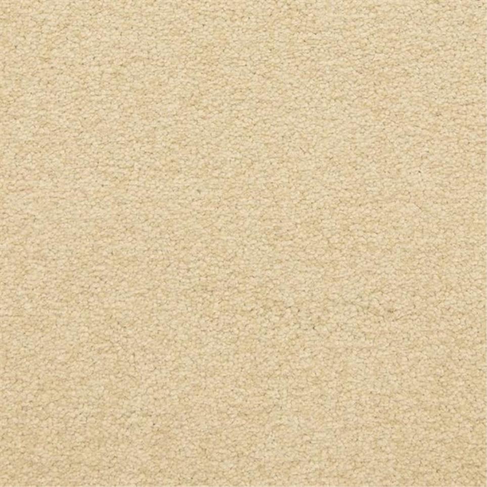 Casual Texture Leisure Beige/Tan Carpet