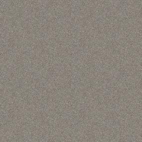 Textured Saxony Global Beige/Tan Carpet