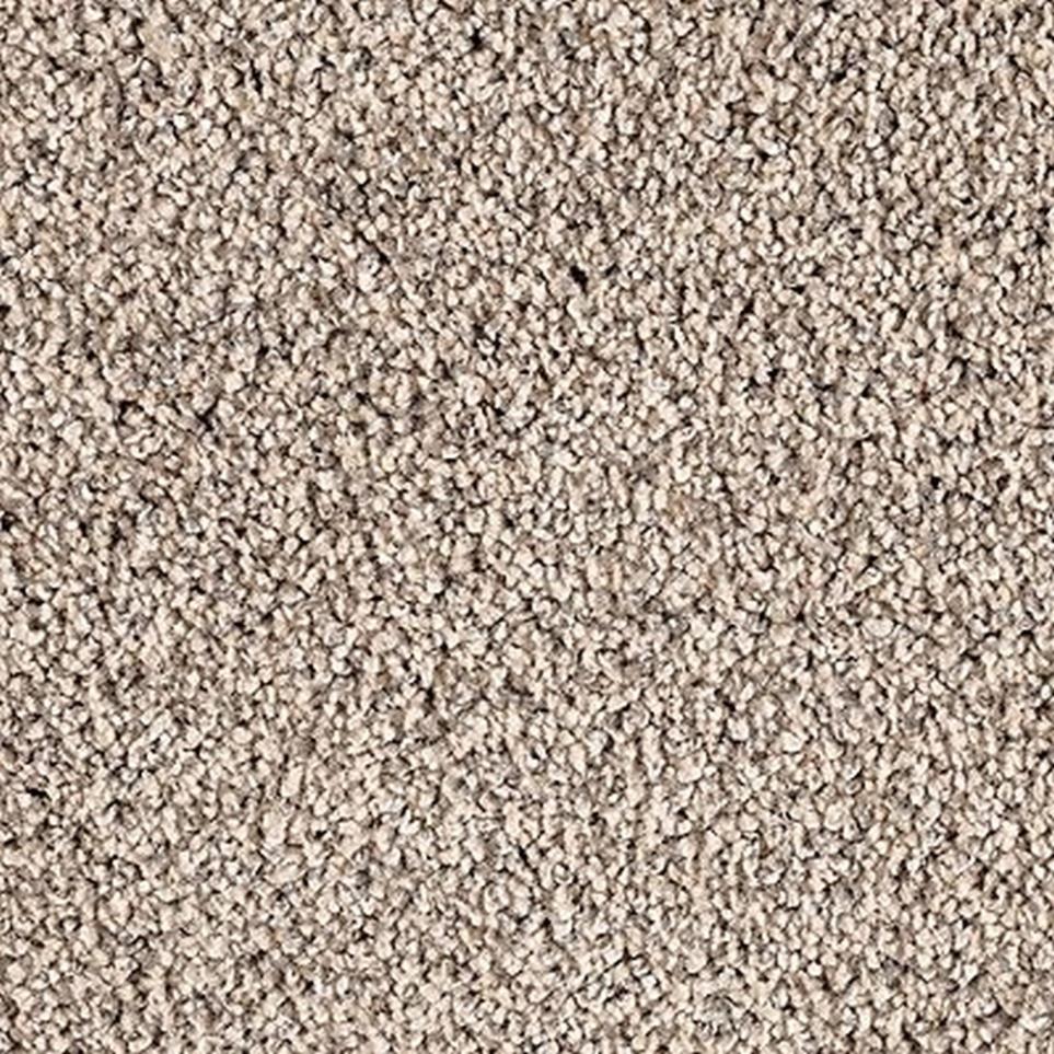 Textured Saxony Charisma Beige/Tan Carpet