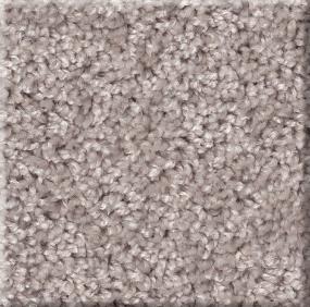 Cut Pile French Buff Gray Carpet