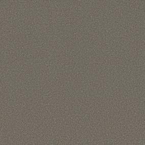 Textured Saxony Painted Desert Brown Carpet