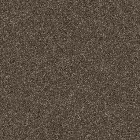 Textured Saxony Painted Desert Brown Carpet