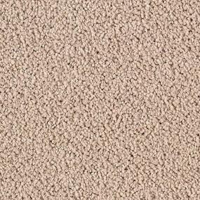 Cut Pile Manuscript Beige/Tan Carpet