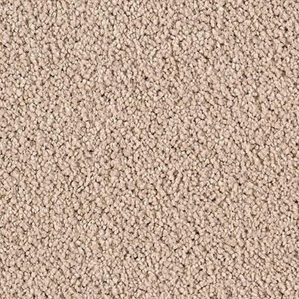 Cut Pile Manuscript Beige/Tan Carpet