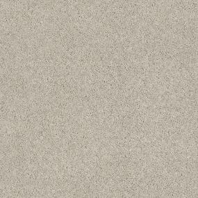 Textured Saxony Arbor Beige/Tan Carpet