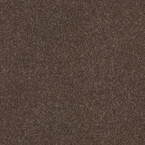 Textured Saxony Mole Brown Carpet