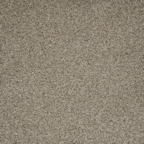 Textured Saxony Holbrook Brown Carpet
