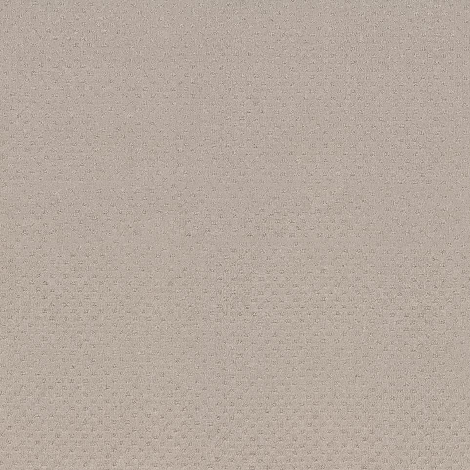 Pattern Chiffon Beige/Tan Carpet