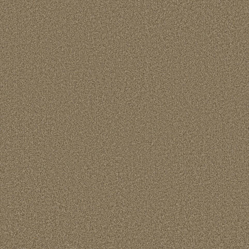 Texture New Honey Beige/Tan Carpet