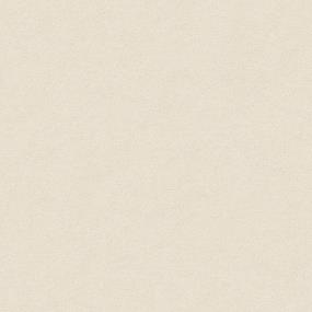 Textured Saxony Soft Chamois Beige/Tan Carpet
