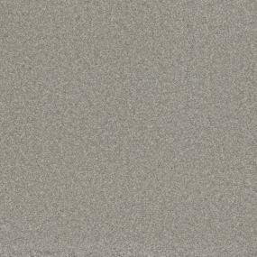 Textured Saxony Trust Beige/Tan Carpet