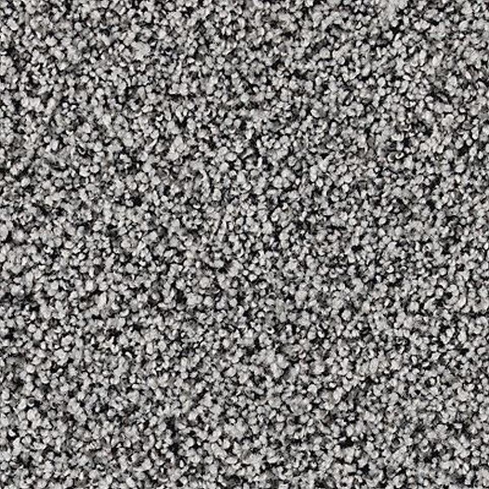 Textured Saxony Windsor Gray Carpet