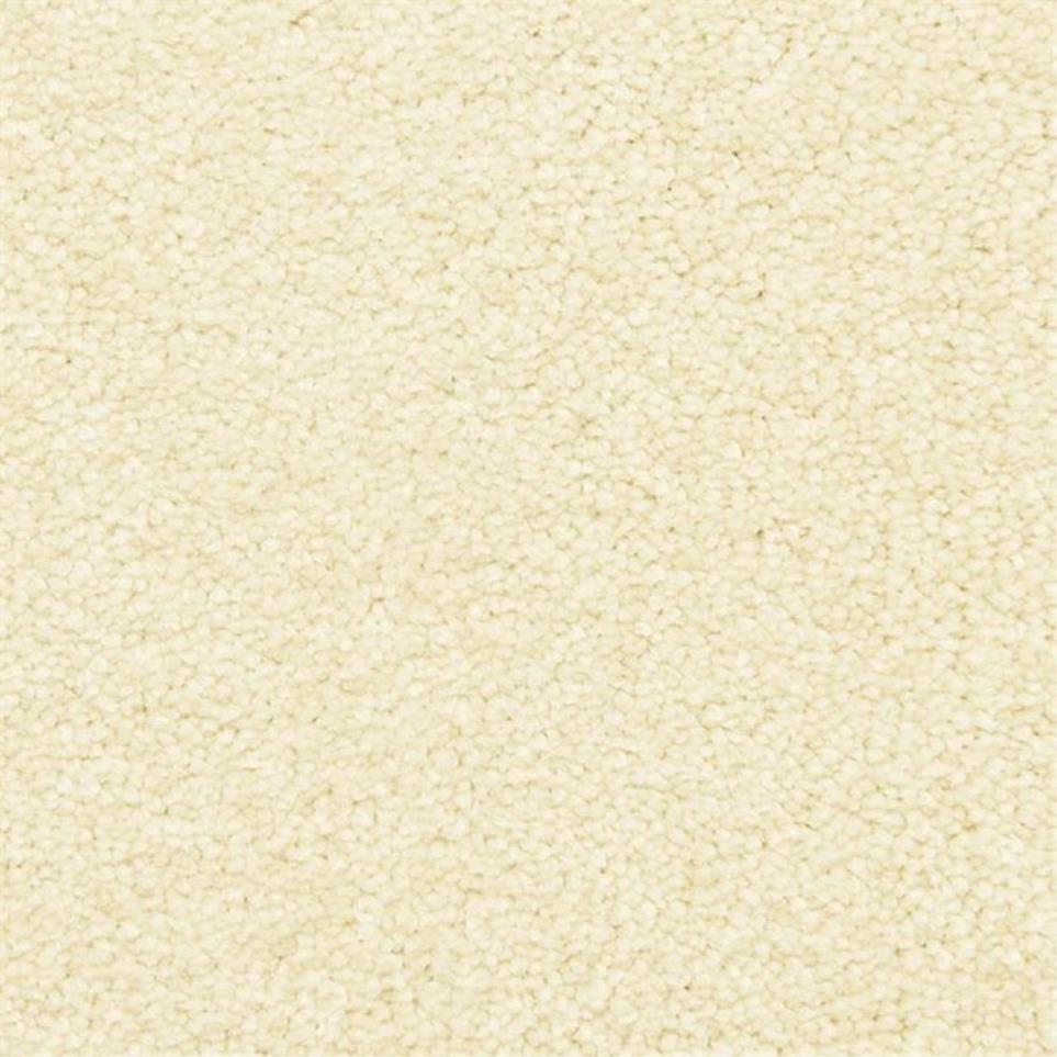 Casual Texture Fresco Beige/Tan Carpet