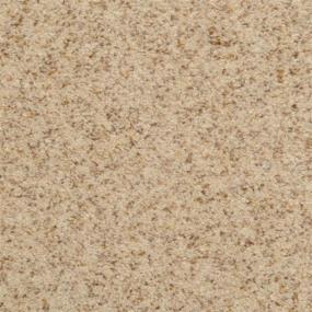 Casual Texture Parchment Beige/Tan Carpet