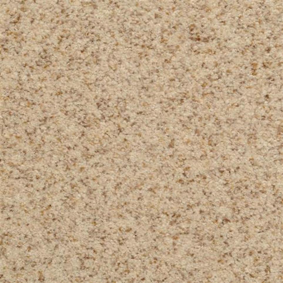 Casual Texture Parchment Beige/Tan Carpet