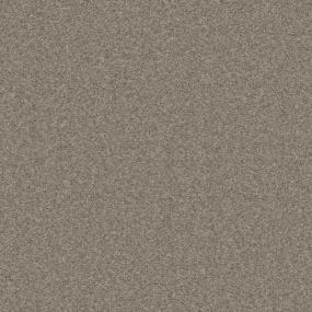 Textured Saxony Driftwood Beige/Tan Carpet