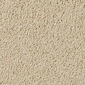 Textured Saxony Eads Brown Carpet