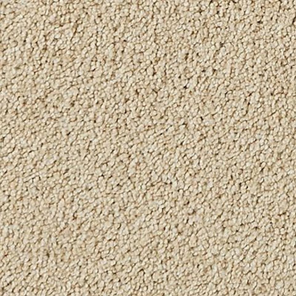 Textured Saxony Eads Brown Carpet