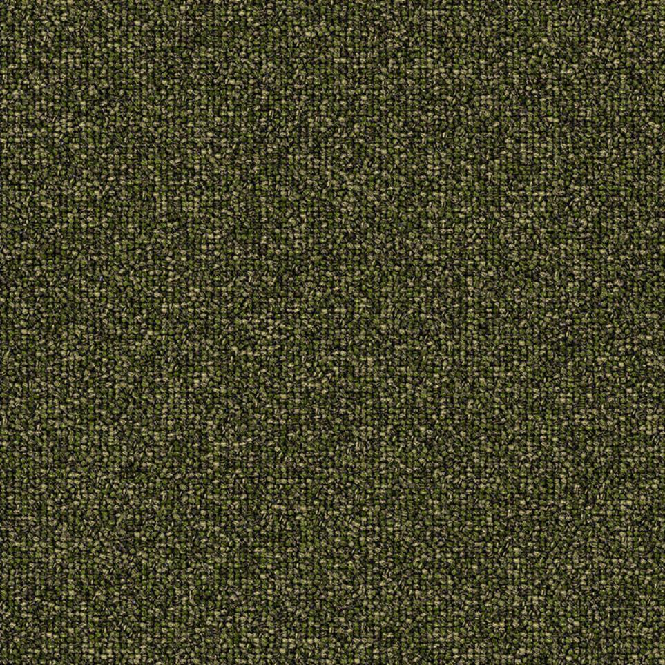 Cut/Uncut Seedling Green Carpet