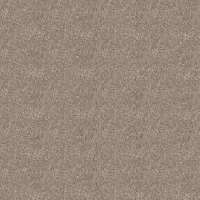 Textured Saxony Canvas Beige/Tan Carpet