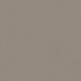 Pattern Pebble Path Gray Carpet