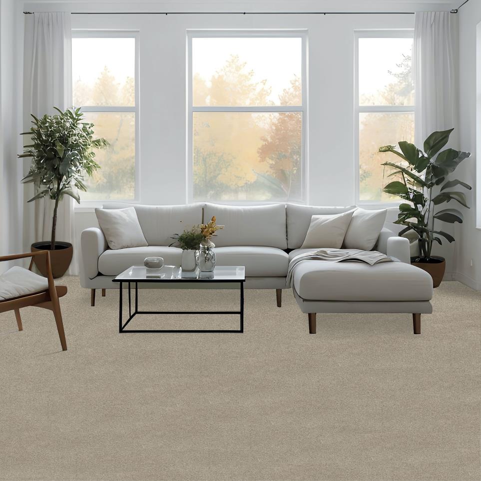 Cut Pile Beachfront Beige/Tan Carpet