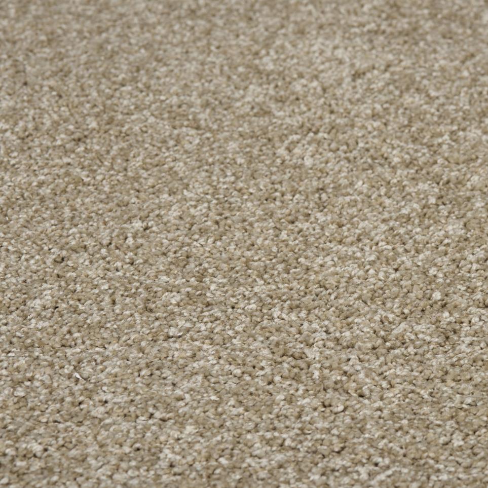 Cut Pile Beachfront Beige/Tan Carpet