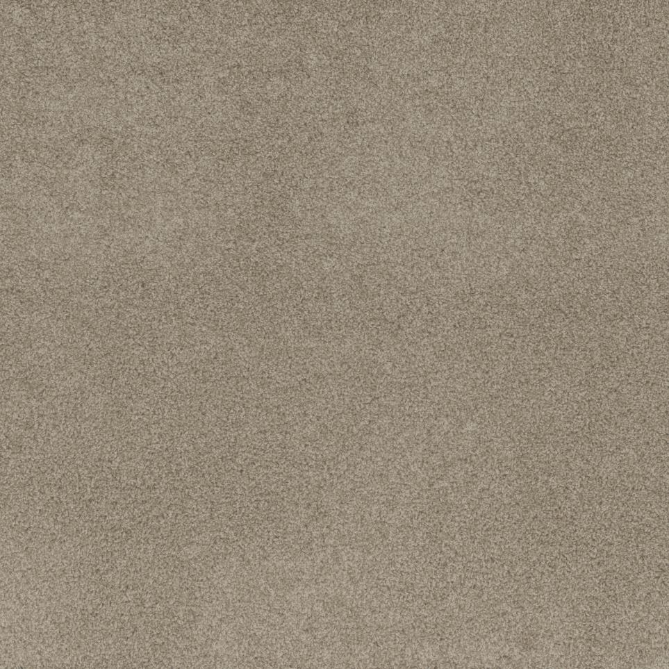 Cut Pile Beachfront Beige/Tan Carpet