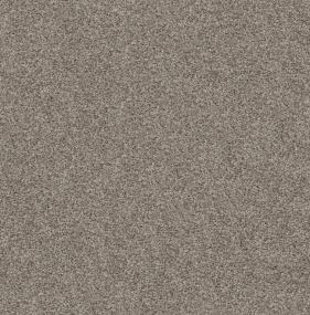 Textured Saxony Boardwalk Beige/Tan Carpet
