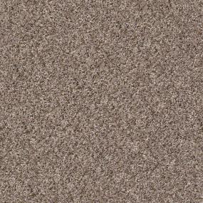 Textured Saxony Bran Brown Carpet