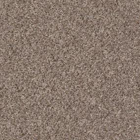 Texture Bran Brown Carpet