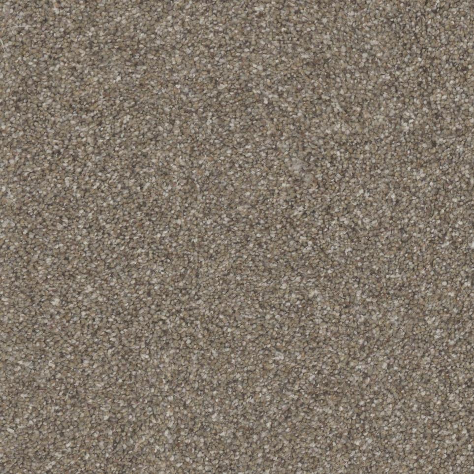 Texture Abode Beige/Tan Carpet