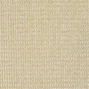 Pattern Sedate Beige/Tan Carpet