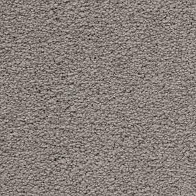 Textured Saxony Magnetic Gray Carpet