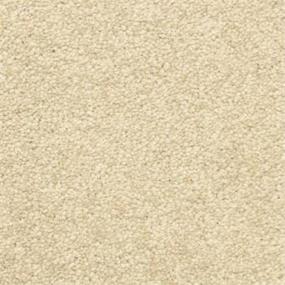 Casual Texture Scroll Beige/Tan Carpet