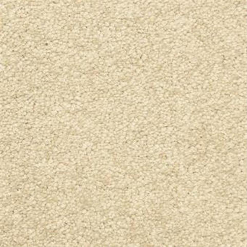 Casual Texture Scroll Beige/Tan Carpet