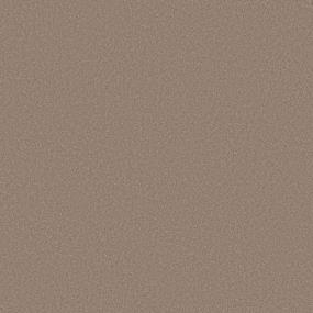 Texture Dusty Rose Beige/Tan Carpet