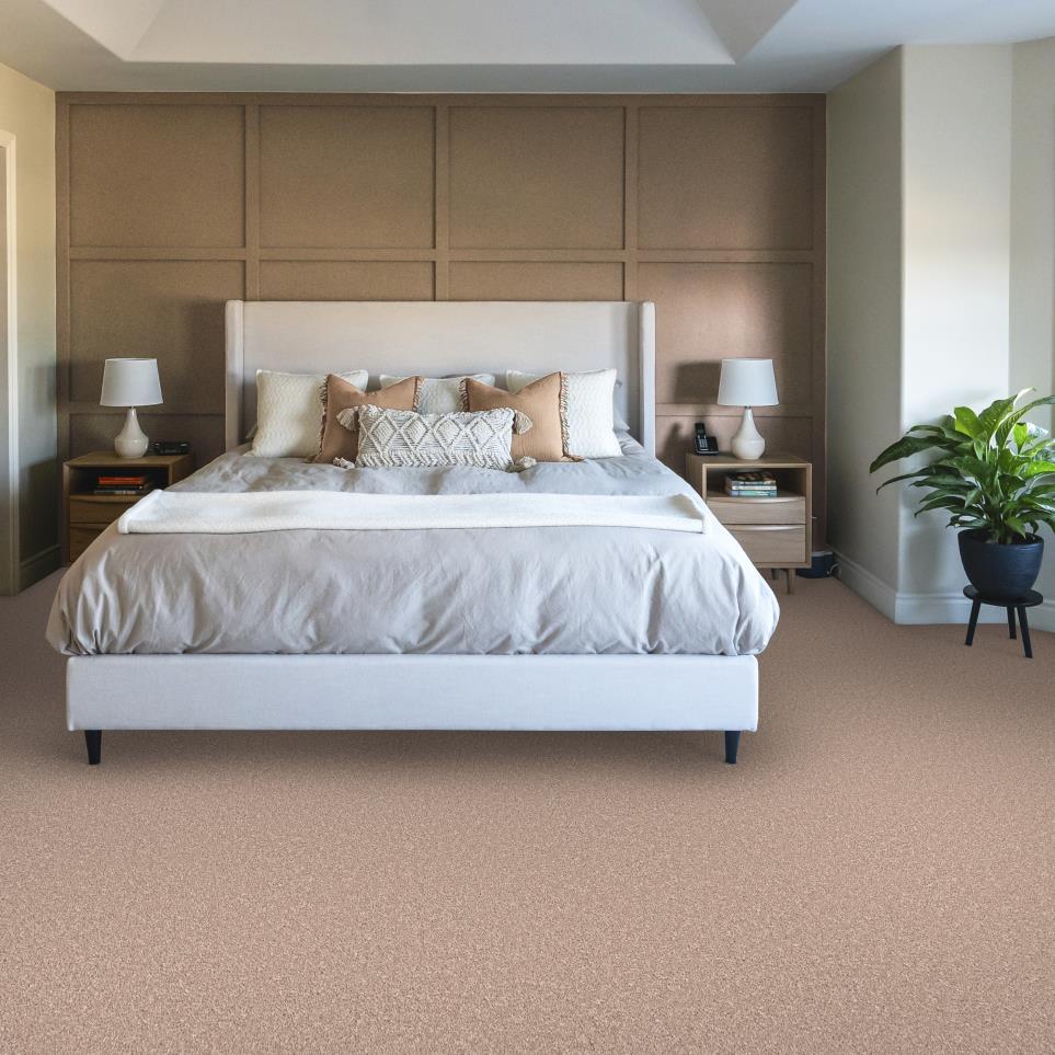 Texture Dusty Rose Beige/Tan Carpet