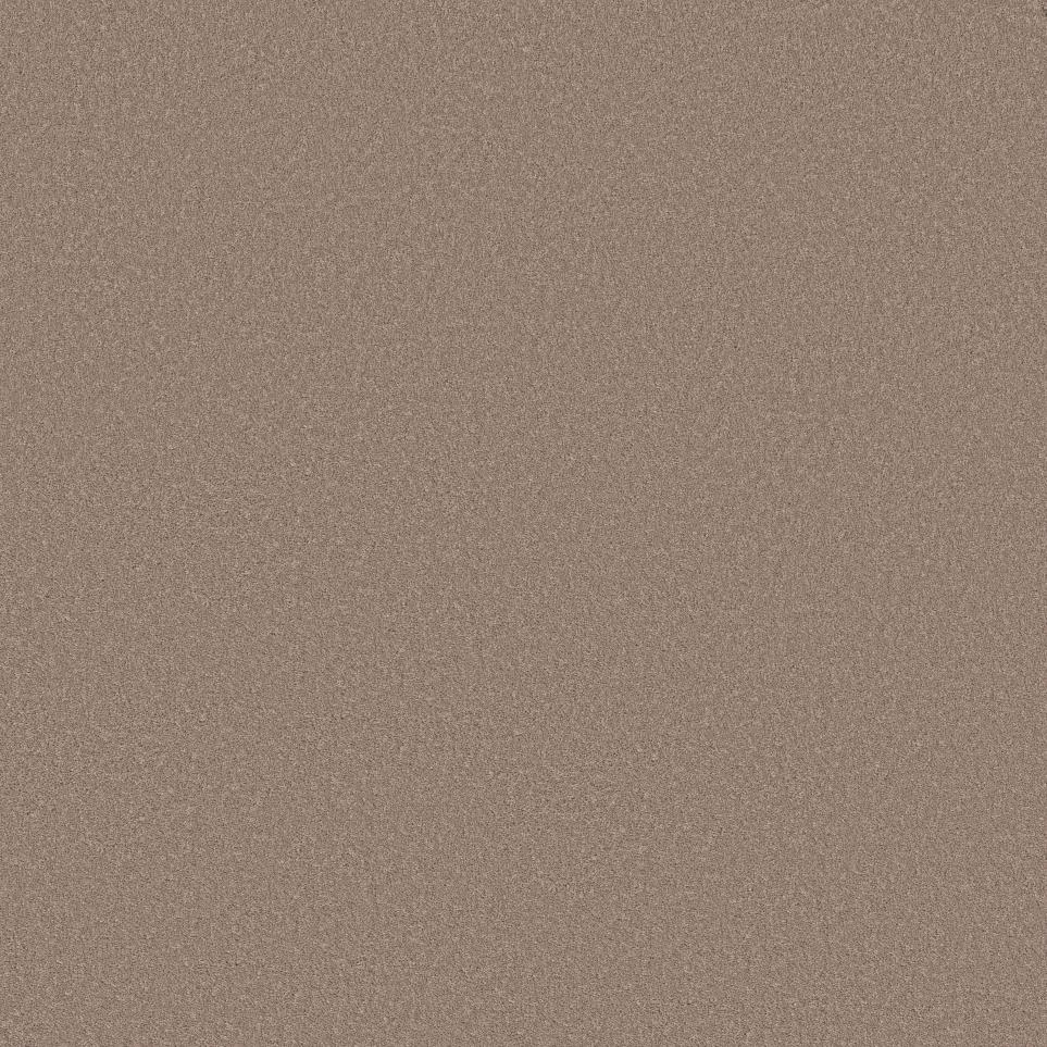 Texture Dusty Rose Beige/Tan Carpet