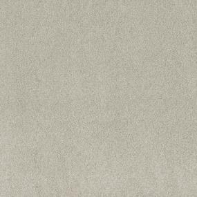 Textured Saxony Apprentice  Carpet