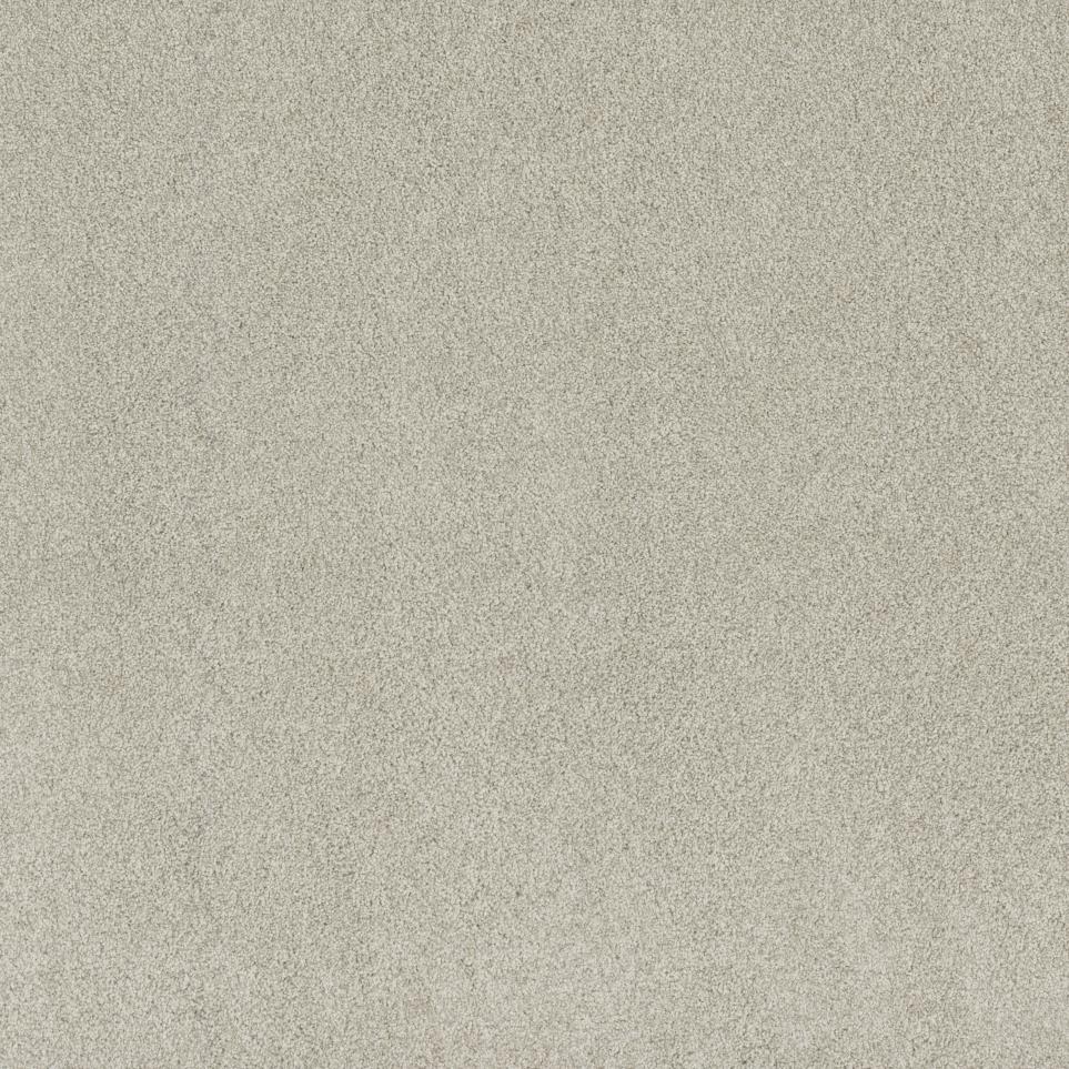 Textured Saxony Apprentice  Carpet