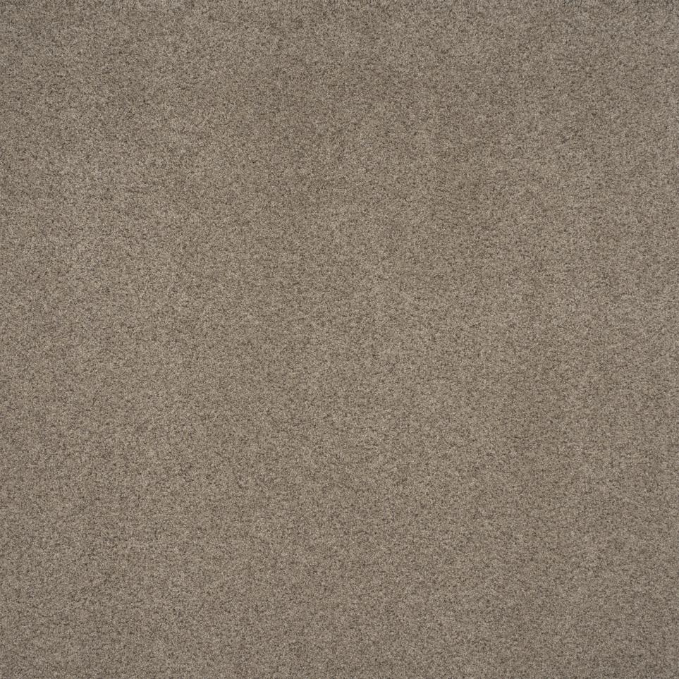 Texture Cameo Beige/Tan Carpet